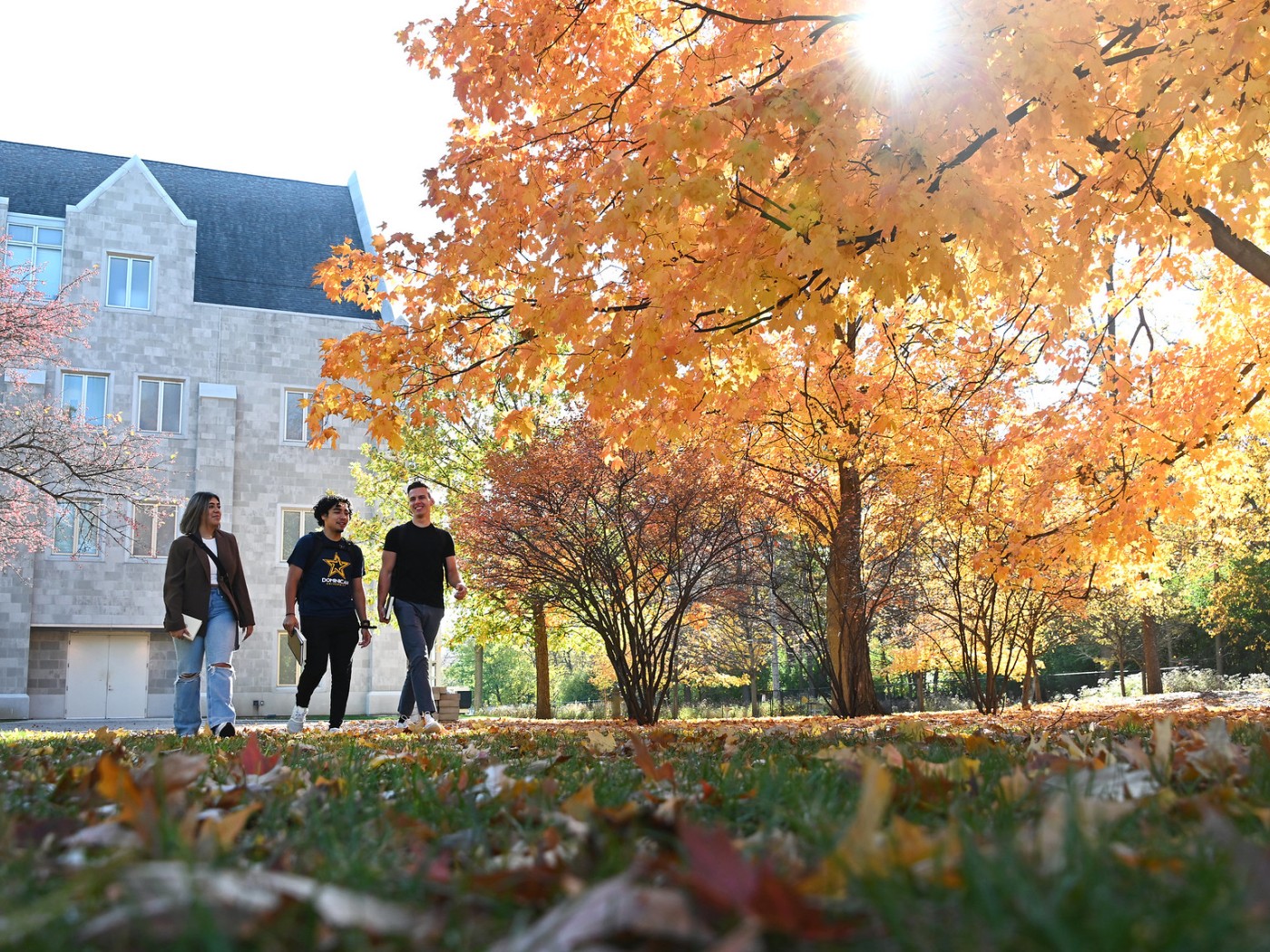 bet88 casino login ph